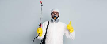 Dératisation - Désinsectisation - DésinfectionDites stop aux nuisibles Contactez-nous